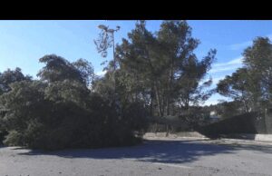 Activació de l’alerta VENTCAT per fortes ventades a Catalunya fins divendres