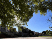 Comencen les obres del pavelló provisional a Safaretjos