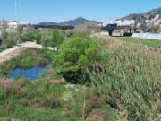 Finalitzen les obres de la segona fase del Refugi de Biodiversitat del Besòs