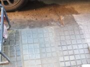 L’Ajuntament reprèn la campanya de reparació i asfaltat de sotracs a Santa Coloma