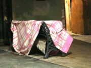 Mort al carrer a Badalona en plena onada de fred: apunten Albiol com a responsable polític
