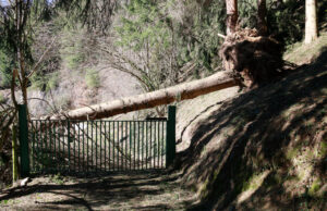 Desactivades les alertes pel temporal de vent i onatge, que va deixar ratxes de prop de 170 km/h aquest diumenge