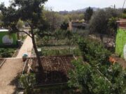 Santa Coloma impulsa els horts urbans com a espais de convivència comunitària