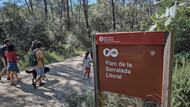 noticia_1782220555.jpg