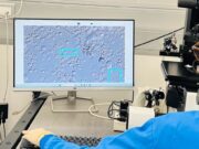 Una eina d’intel·ligència artificial arriba a IVI Barcelona per optimitzar la cerca d’espermatozoides