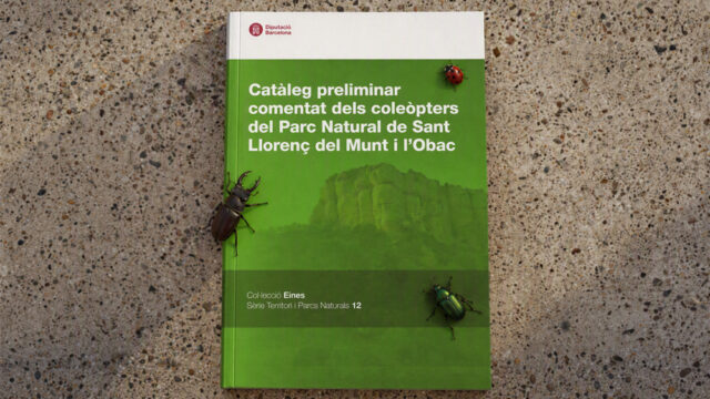 noticia_1793110538.jpg